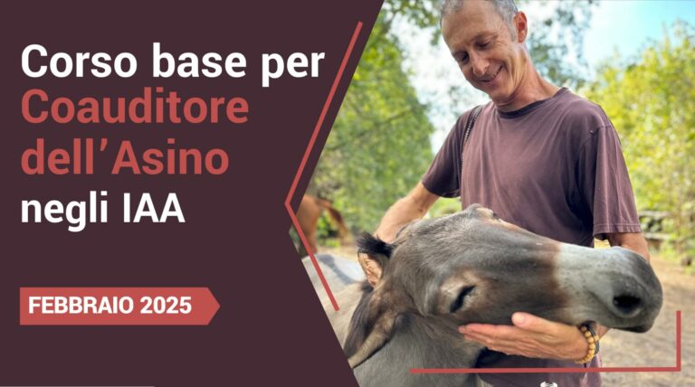 Corso Base Coadiutore dell’Asino