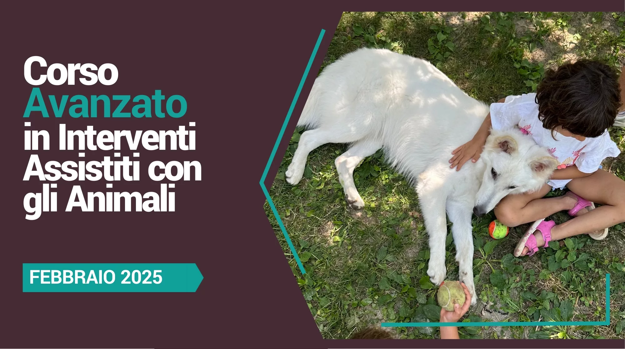 (Febbraio 2025) Corso Avanzato in Interventi Assistiti con gli Animali