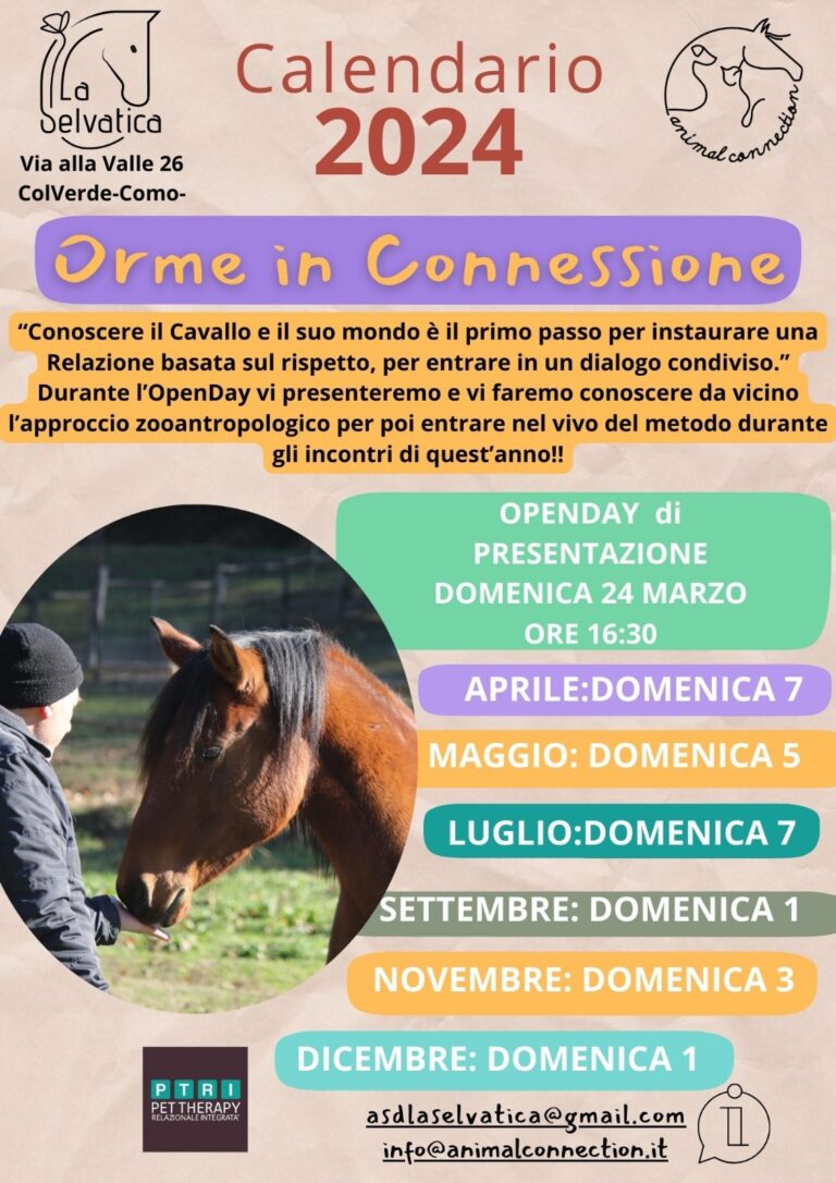 (Domenica 5 Maggio 2024) Seminari con Cavallo: Orme in connessione