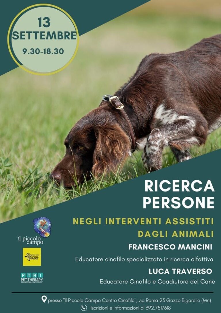 (Venerdì 13 Settembre 2024) Ricerca persone negli interventi assistiti dagli animali