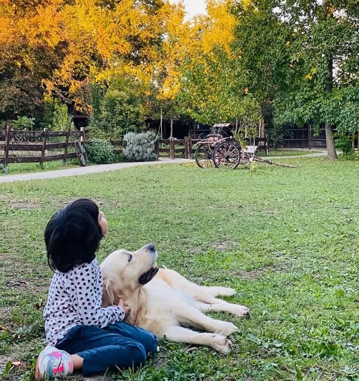 Scoprire la Pet Therapy: Un Viaggio tra Uomini e Animali come Compagni di Relazione